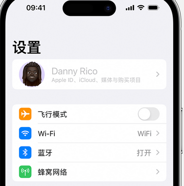 安化appleID维修服务iPhone设置中Apple ID显示为灰色无法使用 