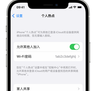 安化apple服务站点分享iPhone上个人热点丢失了怎么办 