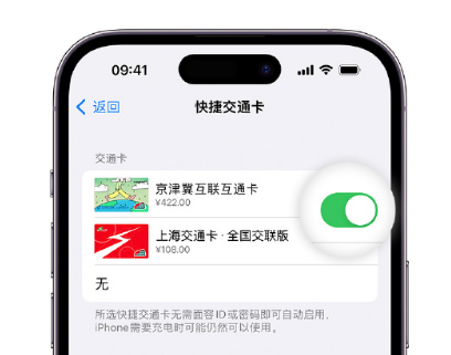 安化apple维修点分享iPhone上更换Apple Pay快捷交通卡手绘卡面 