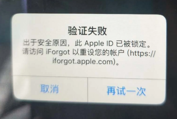 安化iPhone维修分享iPhone上正常登录或使用AppleID怎么办 