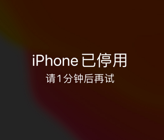 安化苹果手机维修分享:iPhone 显示“不可用”或“已停用”怎么办？还能保留数据吗？ 