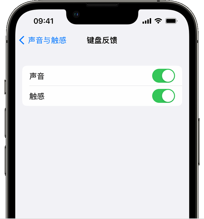 安化苹果14维修店分享如何在 iPhone 14 机型中使用触感键盘 