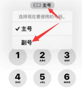 安化苹果14维修店分享iPhone 14 Pro Max使用副卡打电话的方法 