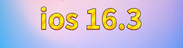 安化苹果服务网点分享苹果iOS16.3升级反馈汇总 