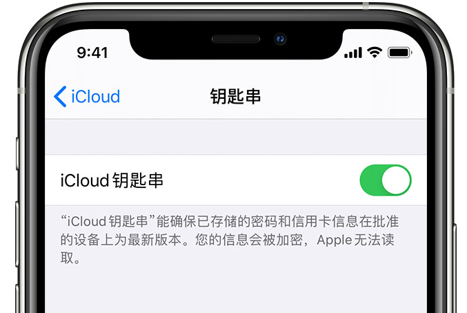 安化苹果手机维修分享在 iPhone 上开启 iCloud 钥匙串之后会储存哪些信息 