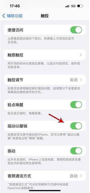 安化苹果手机维修分享iPhone手机如何设置摇一摇删除文字 